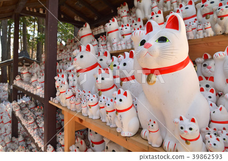 在世田谷區漫步：Gorokuji寺，幸運堂，Maneki Neko 39862593