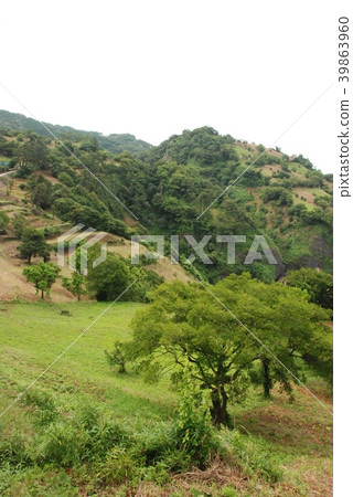 Mountain slope Mountain mass (Echizen-cho, Ekimae-cho, Nijo-gun, Fukui) 39863960