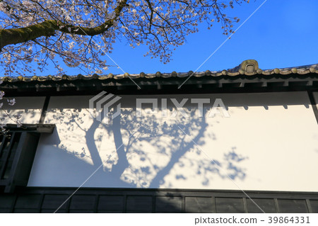 Akitsuki的櫻花 39864331
