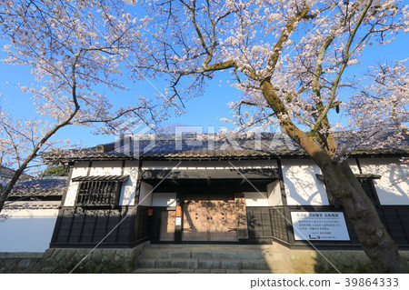 Cherry blossoms of Akitsuki 39864333