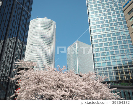 Cherry blossoms and Nagoya Station area (Aichi Prefecture) Cherry blossoms and Nagoya Station area (Aichi Prefecture) 39864382