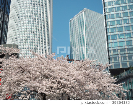 Cherry blossoms and Nagoya Station area (Aichi Prefecture) Cherry blossoms and Nagoya Station area (Aichi Prefecture) 39864383