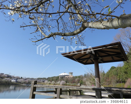 Donburi Kaikan和Sugi Yakeike（2018年3月，岐阜縣土岐市）車站“Toki Mino Yaki Highway” 39864611