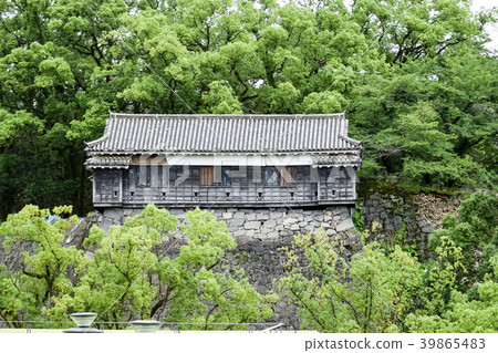 Kumamoto Castle Immediately after the earthquake Kumamoto Castle in the summer Kumamoto Castle 39865483