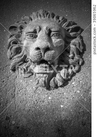 The lion of Venice 39865962