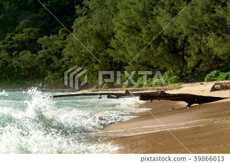 Waves are breaking on the shore of Lazy Beach Waves are breaking on the shore of Lazy Beach 39866013