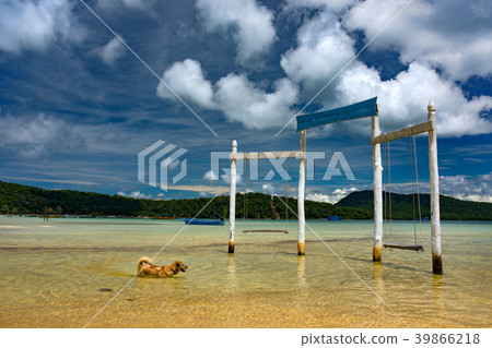 Wooden swing in the water, Koh Rong Samloem 39866218
