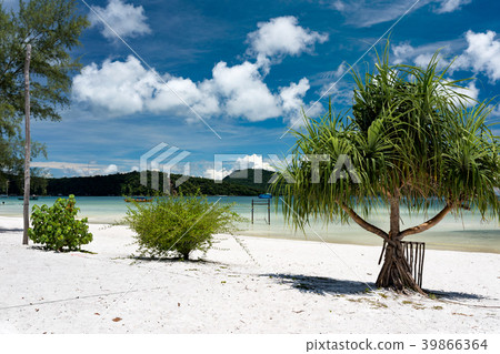Beautiful tropical beach of Koh Rong Samloem  39866364