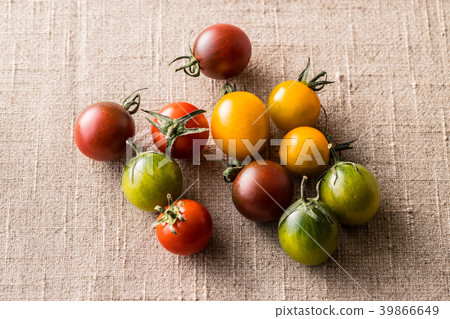  櫻桃西紅柿 39866649