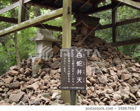 筑波山 39867667