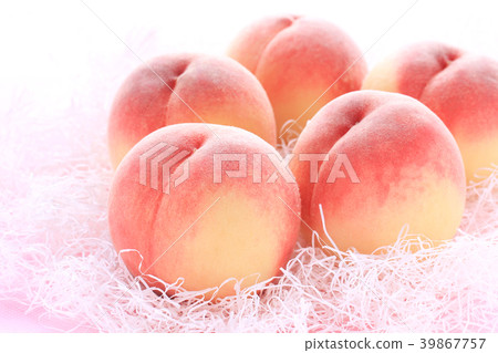 Momo · Ehime 01 Momo · Ehime 01 39867757