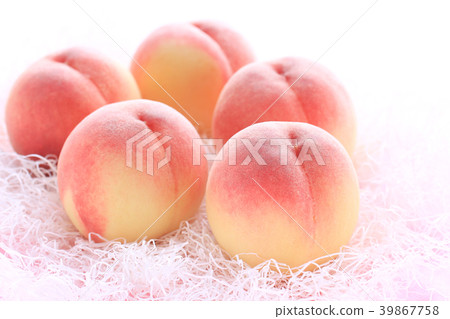 莫莫·愛媛02 39867758