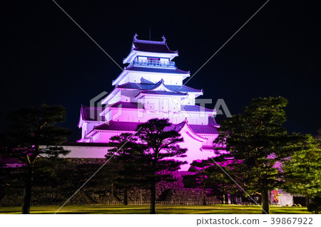 Tsuruga Castle Honmaru Light Up Tsuruga Castle Honmaru Light Up 39867922