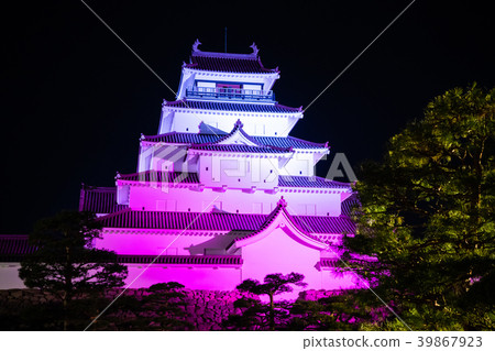 Tsuruga Castle Honmaru Light Up 39867923