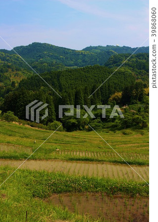 Sanae's Boso Peninsula, Oyama Senmaida Sanae's Boso Peninsula, Oyama Senmaida 39868060