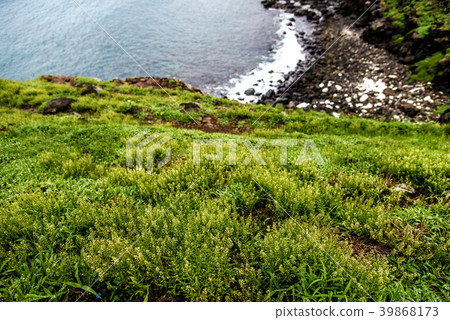 Wuhu South Four Islands Wuhu South Four Islands 39868173