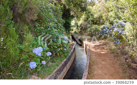 Water channel and footpath surrounded by flowers Water channel and footpath surrounded by flowers 39868259