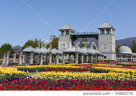 Gunma Flower Park in full bloom of tulips 39868278