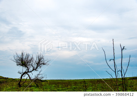 Wuhu South Four Islands Wuhu South Four Islands 39868412