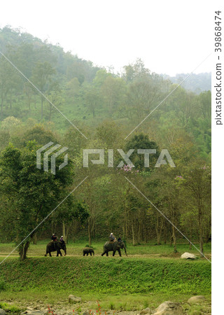 riding elephant with mountain background 39868474