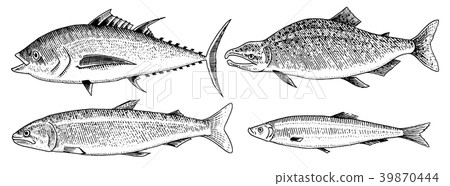 River and lake fish. Salmon and rainbow trout River and lake fish. Salmon and rainbow trout 39870444