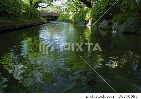 灌溉的新鮮的綠色水 39870665