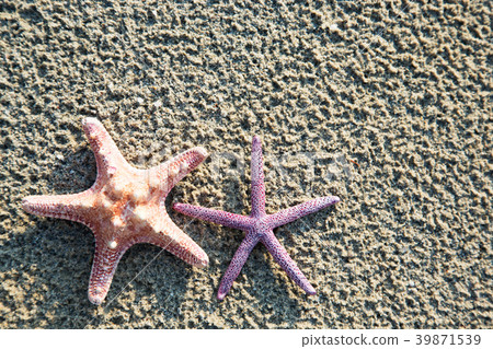 Background of sea stars 39871539