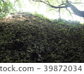 Bali Bali Rock / Minamidaito Island 39872034