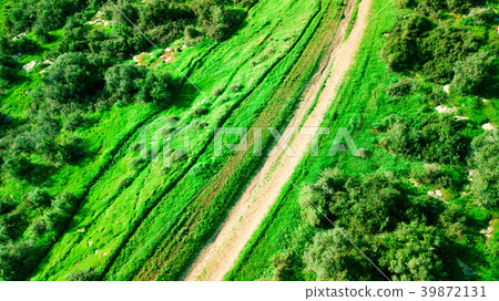 Aerial view of a green landscape in sunny day. Aerial view of a green landscape in sunny day. 39872131