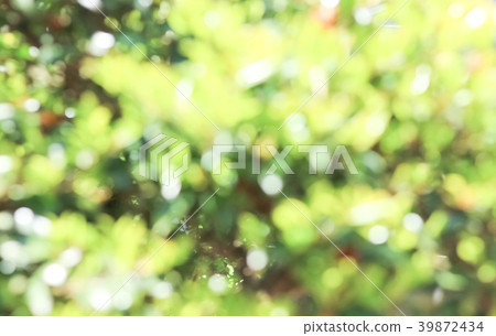 Abstract natural background 39872434