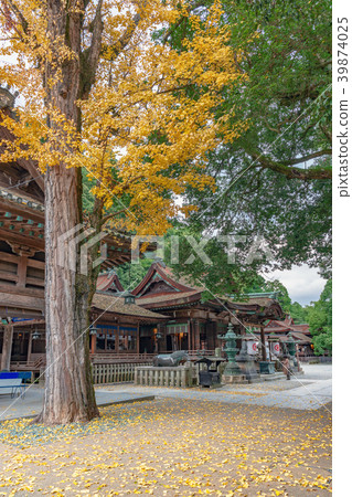 Kotohiragu寺廟秋天場面 Kotohiragu寺廟秋天場面 39874025