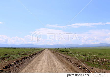 Serengeti's original landscape 39874356