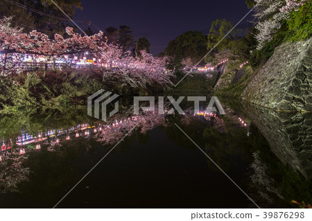 Cherry blossoms at Koriyama castle ruins at evening 39876298