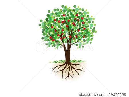 Rooted apple tree 39876668