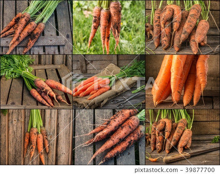 Collage with fresh carrot on rustic wooden backgro Collage with fresh carrot on rustic wooden backgro 39877700