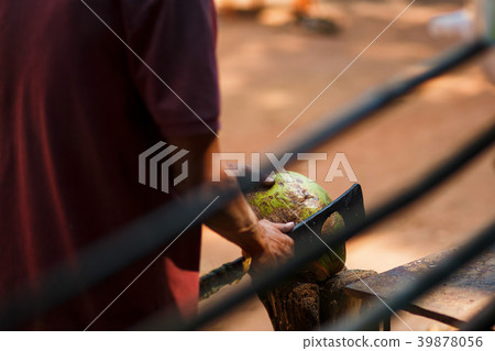 Opening green fresh coconut with big knife. 39878056