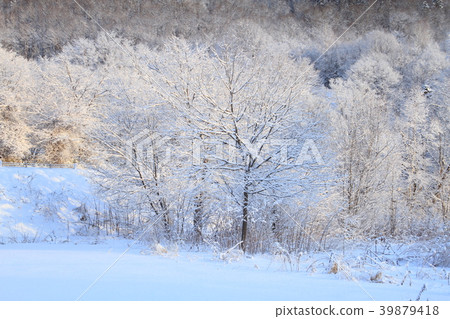 冬季風景新鮮的雪裡山冬季寒冷寒冷的早晨景觀 冬季風景新鮮的雪裡山冬季寒冷寒冷的早晨景觀 39879418