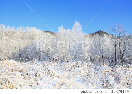 冬天與冬天風景,新鮮的雪,藍天和村莊山的早晨風景 冬天與冬天風景,新鮮的雪,藍天和村莊山的早晨風景 39879419