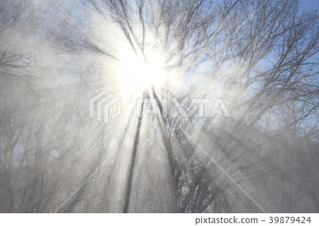 Winter landscape, sunshine 39879424