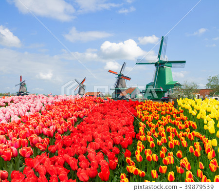 view of  Zaanse Schans 39879539