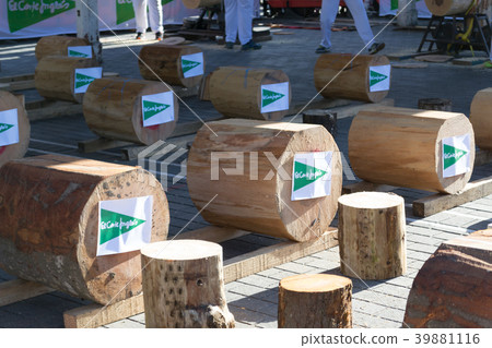 Wood chopping in Bilbao 39881116