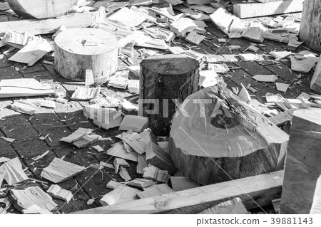 Wood chopping in Bilbao Wood chopping in Bilbao 39881143