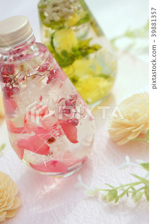 植物標本室 39881357