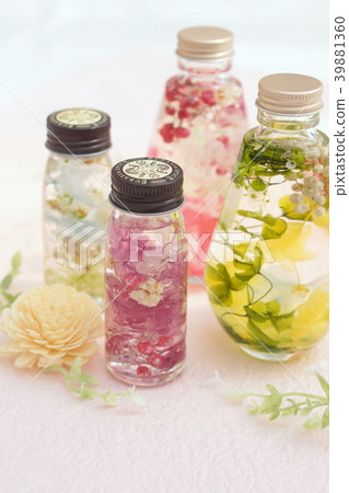 植物標本室 39881360