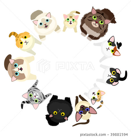 Circle of cats sitting and looking up 39881594