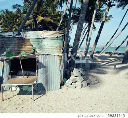 little vietnamese house on seacoast among palms 39881643