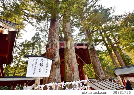 Couple of a couple of Futarafusan Shrine 39881736