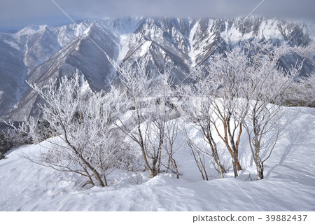 從Shirakami門頂部附近的冰和雪谷東邊岩石牆壁 從Shirakami門頂部附近的冰和雪谷東邊岩石牆壁 39882437