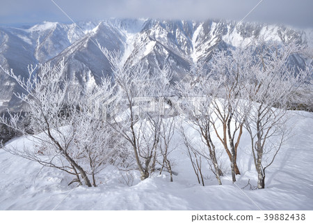 從Shirakami門頂部附近的冰和雪谷東邊岩石牆壁 從Shirakami門頂部附近的冰和雪谷東邊岩石牆壁 39882438