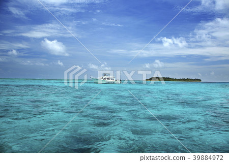 Half Moon Caye Half Moon Caye 39884972